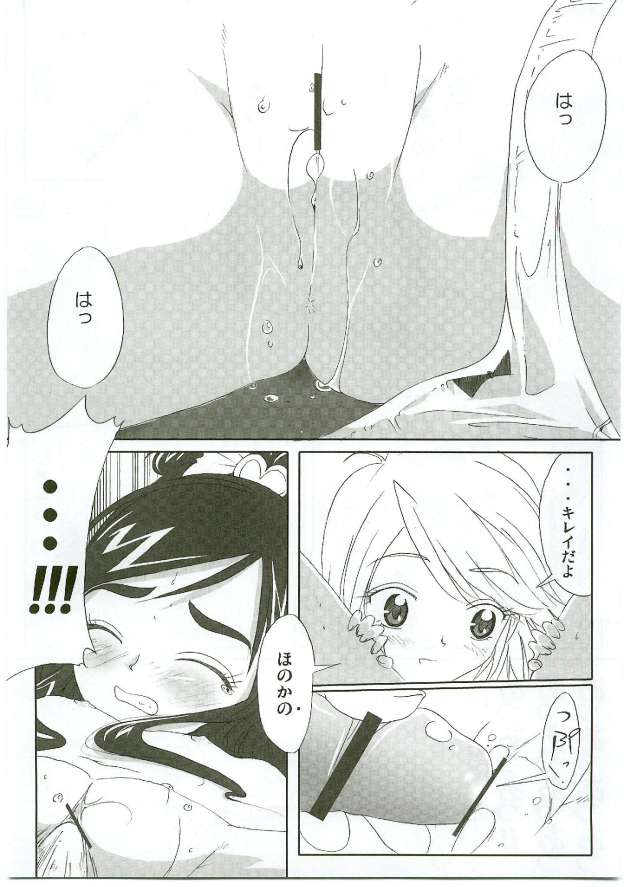 (SC28) [Moe Moe Cafe (Shitto)] Honotan Shinsouban (Futari wa Precure) page 18 full