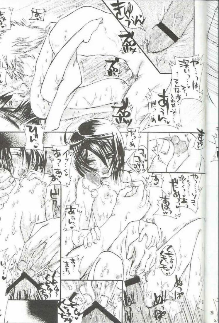 (C66) [PONCHEES (Kari) (Irohane Sui)] PIKA☆☆NCHI (Bleach) page 28 full