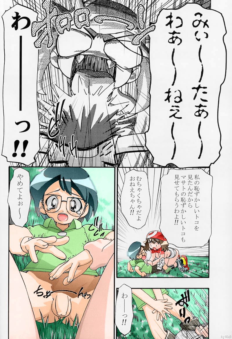 (C66) [Gambler Club (Kousaka Jun)] PM Gals! (Pokémon) [Colorized] [Incomplete] page 4 full