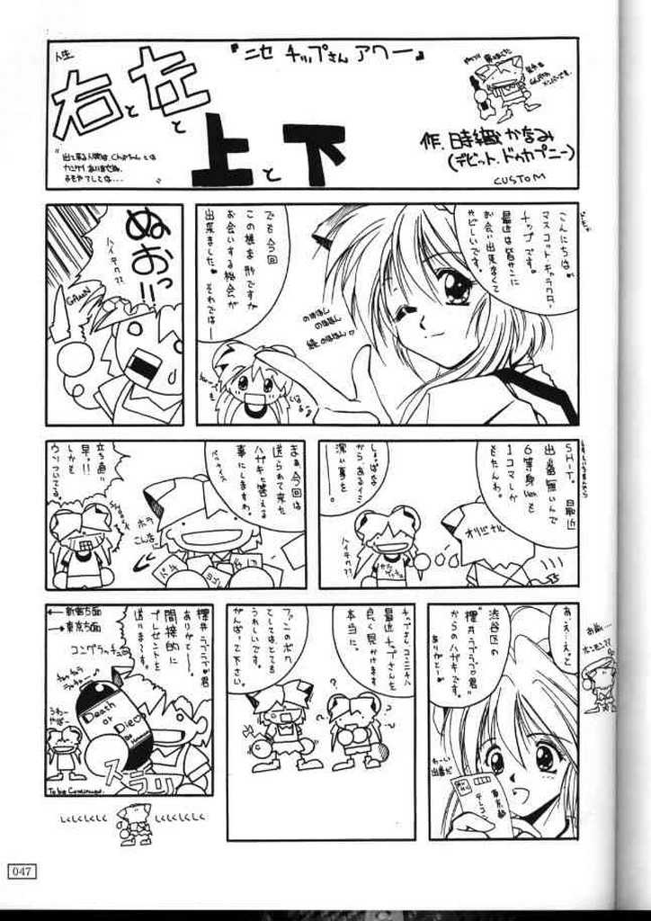 (C56) [AKKAN-Bi PROJECT (Yanagi Hirohiko)] Ufufu Ryu (Mamotte Shugogetten!) page 48 full