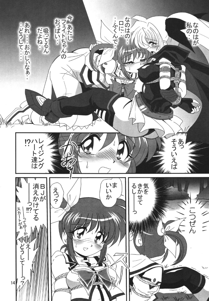 [Thirty Saver Street 2D Shooting] Storage Ignition (Mahou Shoujo Lyrical Nanoha / Magical Girl Lyrical Nanoha) page 14 full
