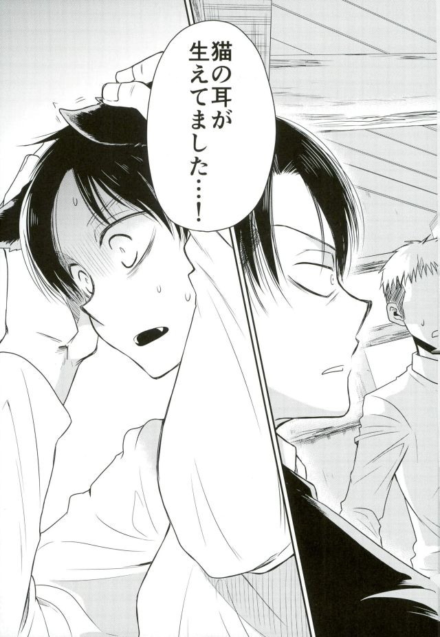 (C91) [Sonic (PANA)] Shinpei-kun ga Neko ni Narimashite (Shingeki no Kyojin) page 4 full