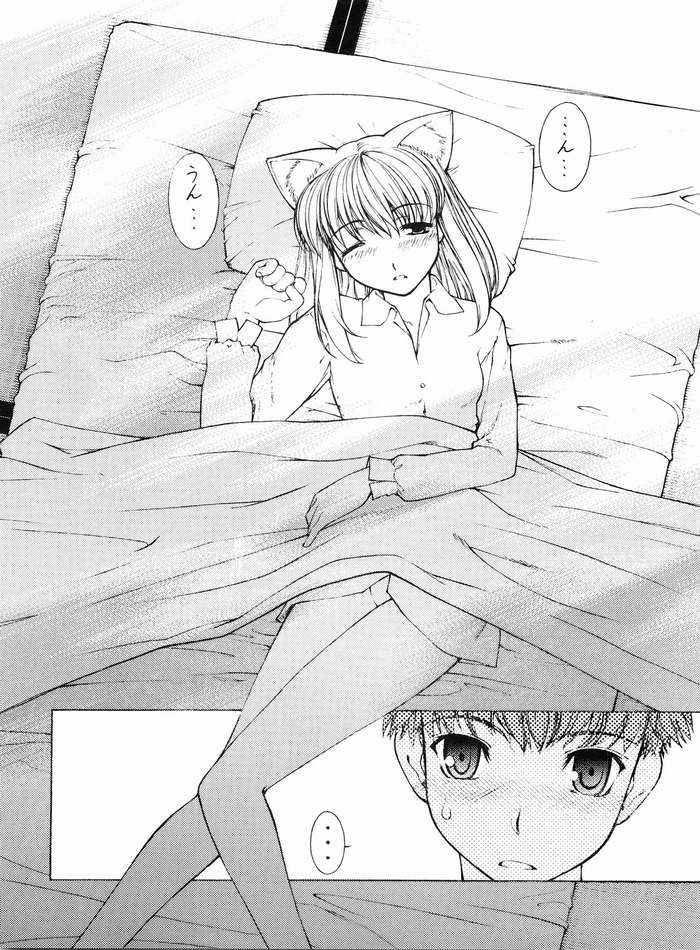 (C67) [Sanazura Doujinshi Hakkoujo (Sanazura Hiroyuki)] Nekomimi Fate (Fate/stay night) page 5 full