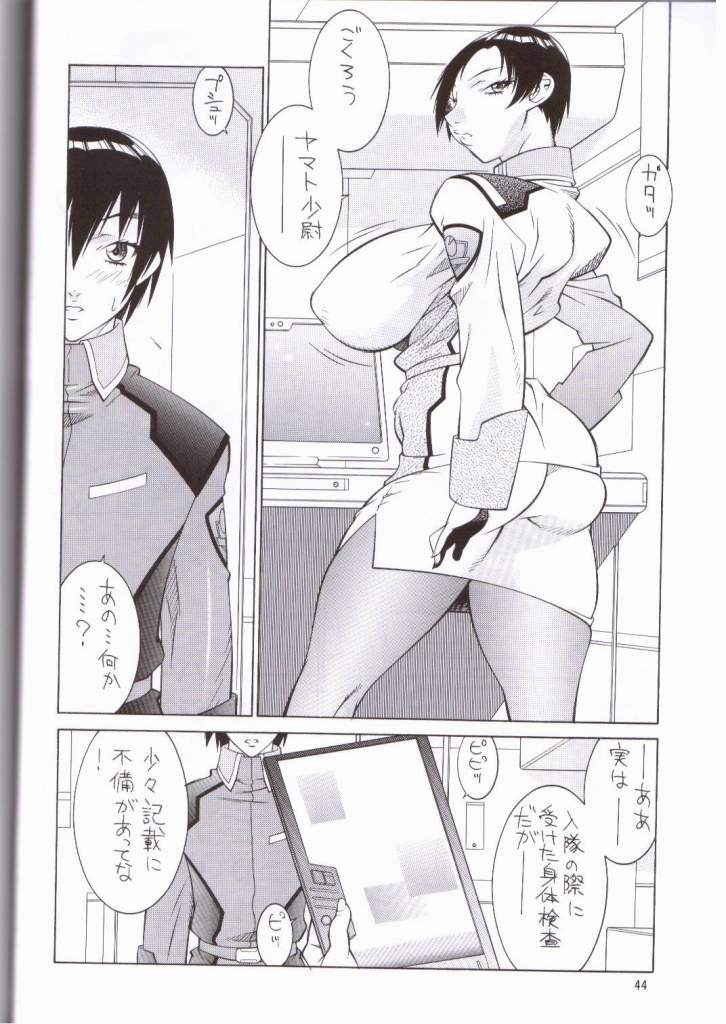 (C64) [ALPS (Various)] NEXT Climax Magazine 14 (Kidou Senshi Gundam SEED) page 40 full