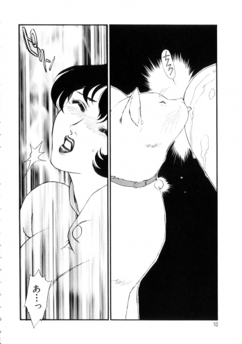 [Fujii Akiko, Akiyama Michio] Hitozuma Moyou 4 Yogarizuma - page 11