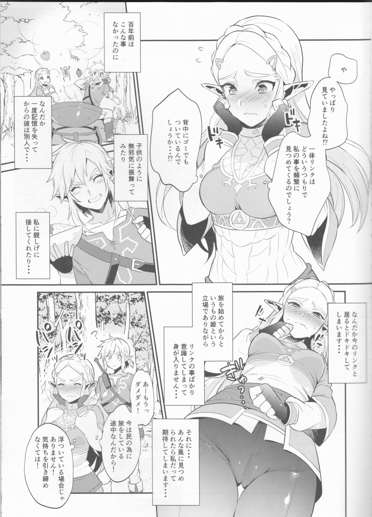 (C93) [Morittokoke (Morikoke)] Hyrule Hanei no Tame no Katsudou! (The Legend of Zelda) page 6 full