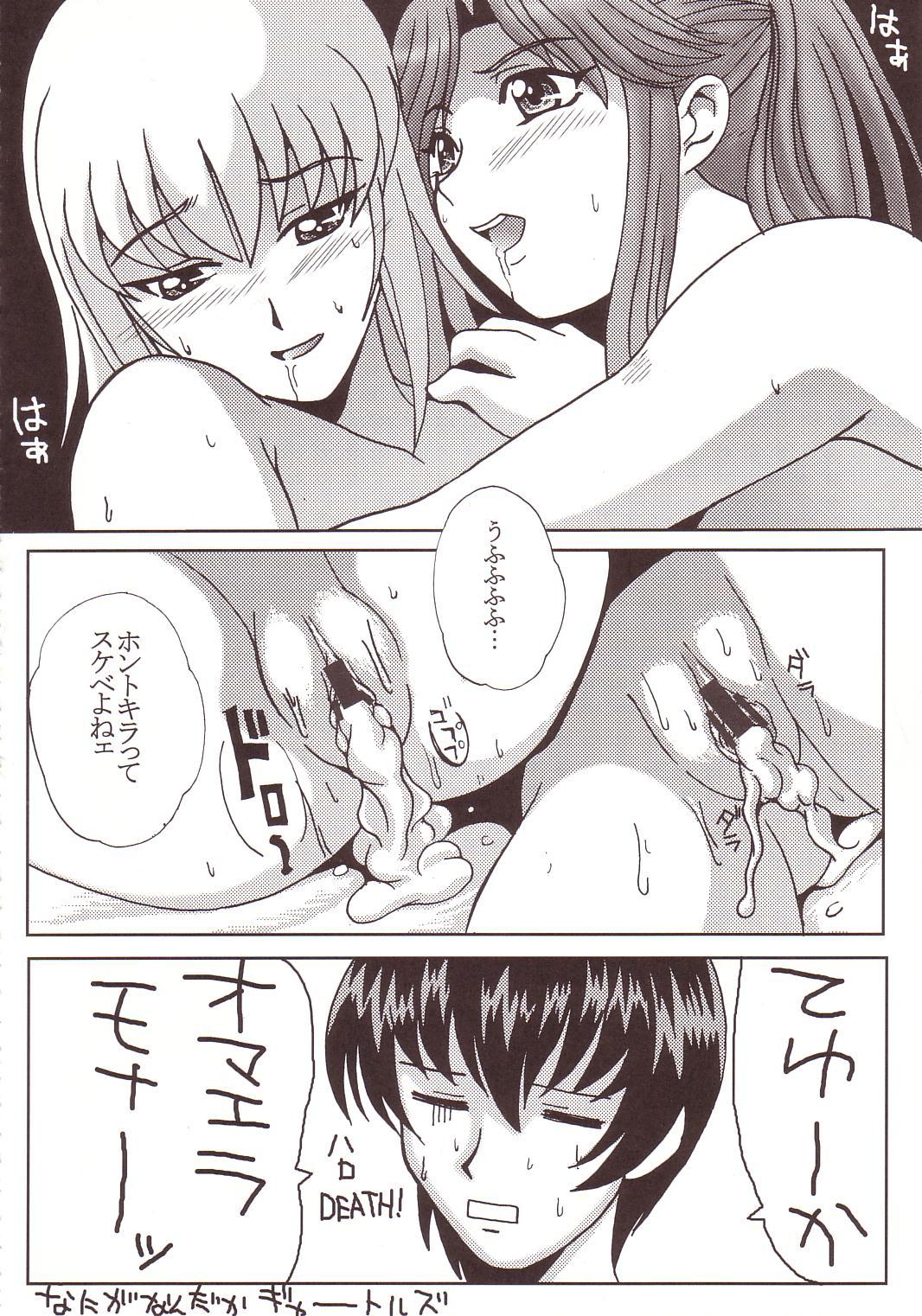 [St. Rio (Kitty, Kouenji Rei)] SEED (Mobile Suit Gundam SEED) page 23 full