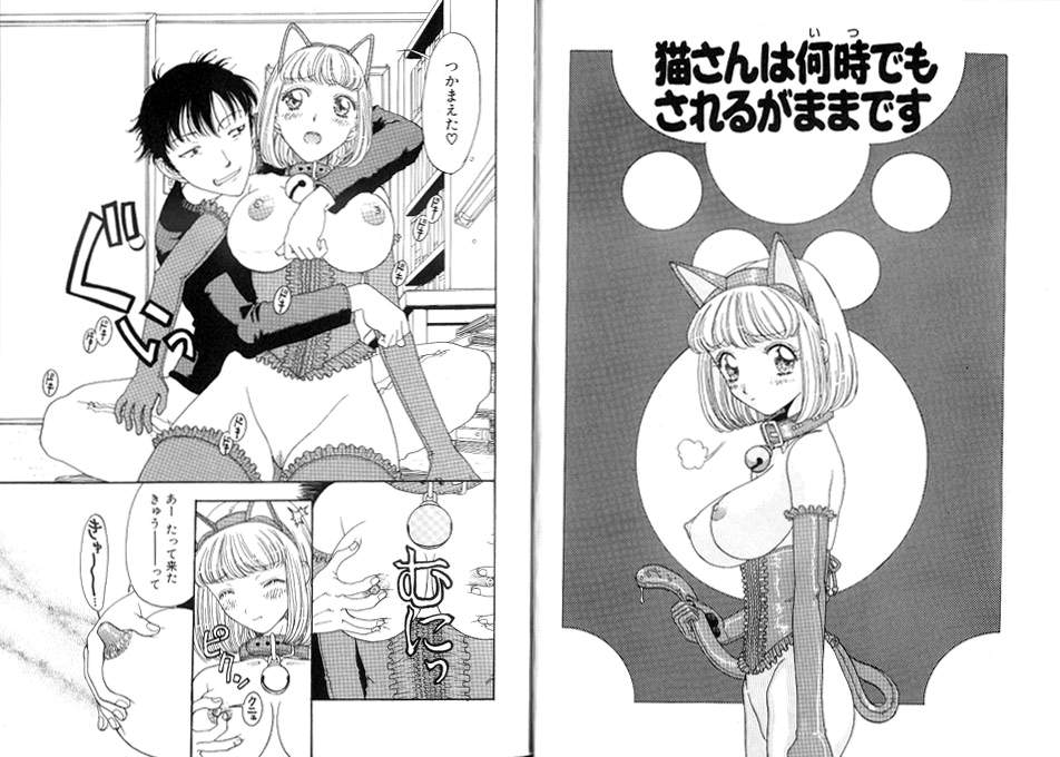 [Kobayashi Shounen] Pet Catalogue - Flesh Slave Catalog page 23 full