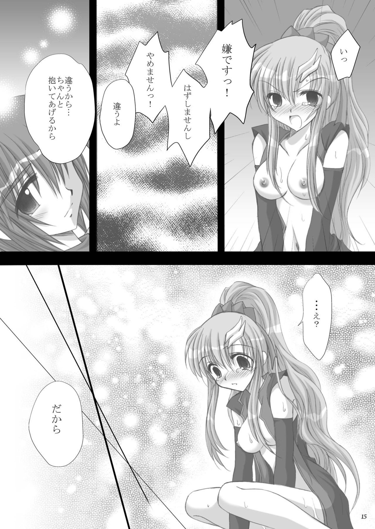 [ARC (Tamagawa Yukimaru)] Resolution (Gundam SEED DESTINY) [Digital] page 16 full