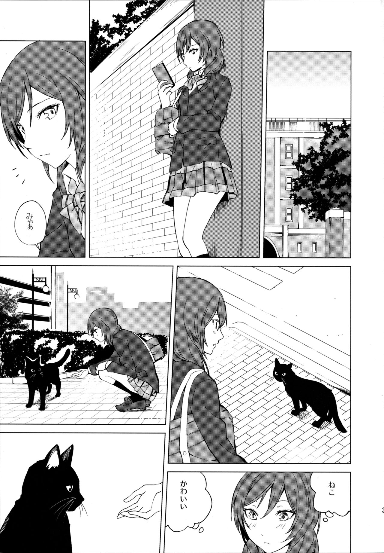 (Bokura no Love Live! 15) [Tatakai no Kiseki (Senyuu)] Nico Maki Nyan Nyan Hon (Love Live!) page 3 full