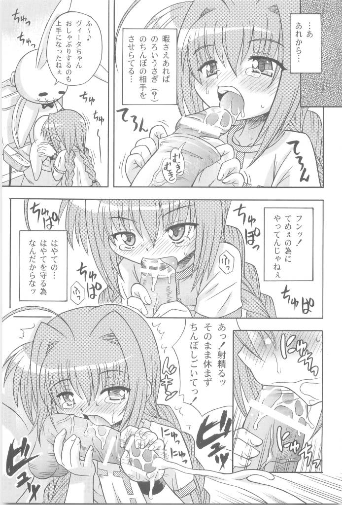 (SC31) [Taikan Kyohougumi (Azusa Norihee)] Vita Max! (Mahou Shoujo Lyrical Nanoha) page 13 full