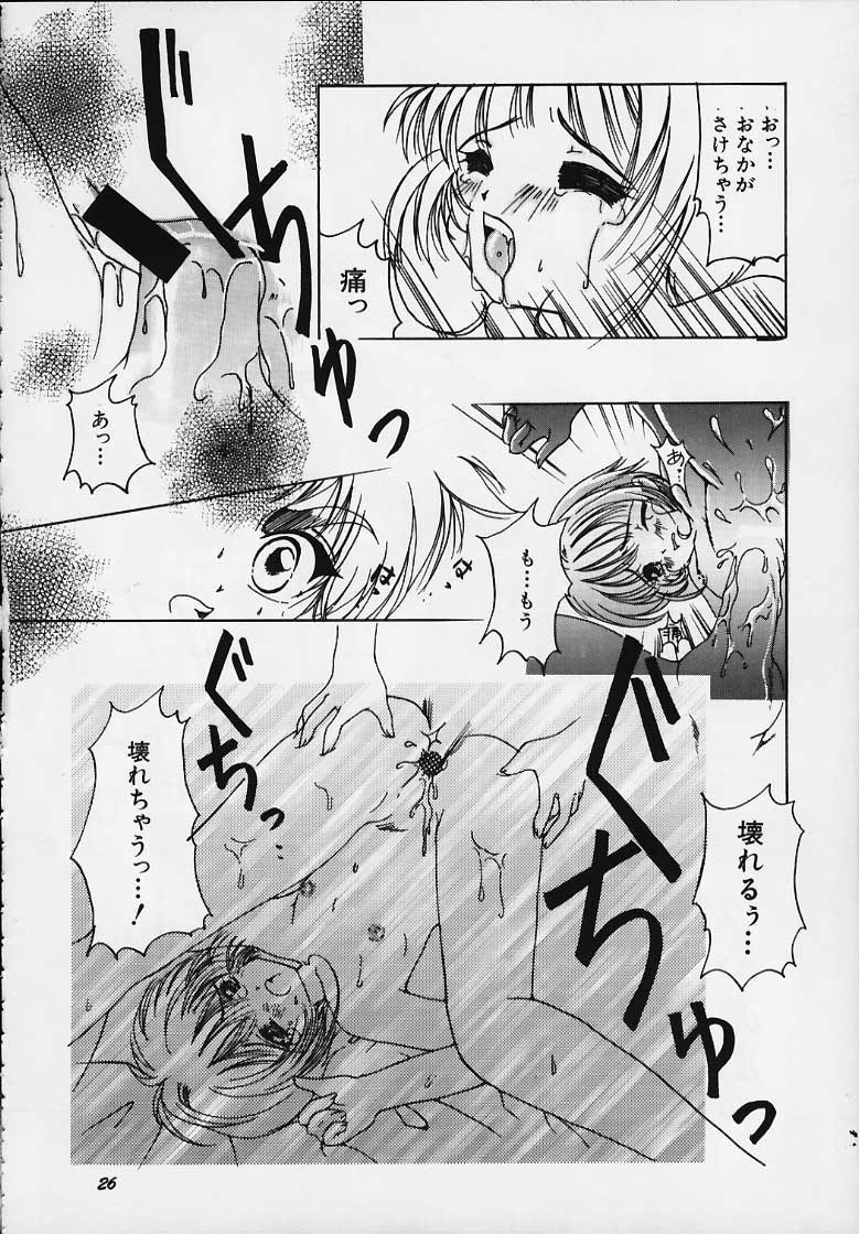 (C58) [APRICOT PIE (Miyake Hikaru)] Apricot Collection (Cardcaptor Sakura) page 24 full