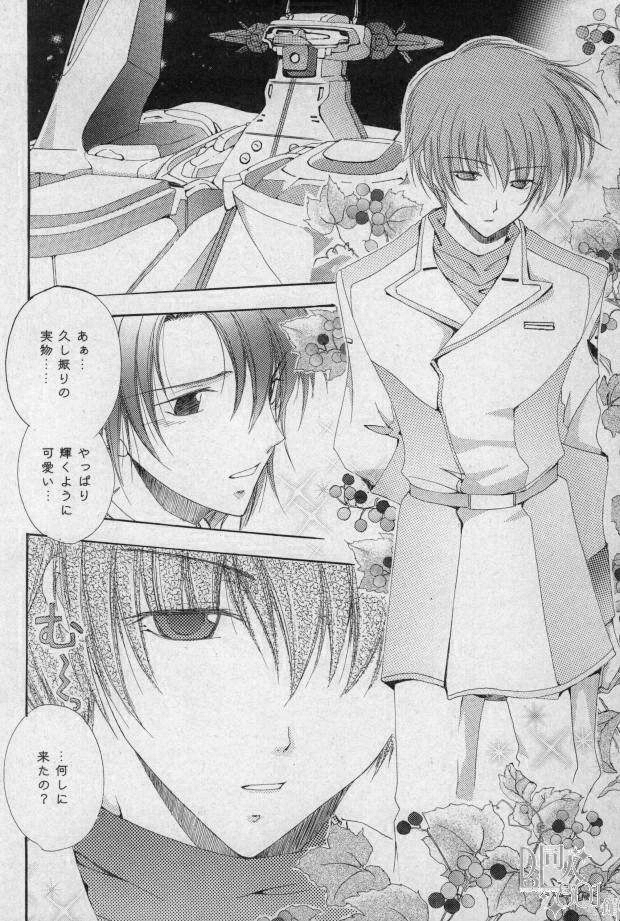 [Mutsuharu (Kagami Haruki)] Love Scramble (Gundam SEED DESTINY) page 9 full