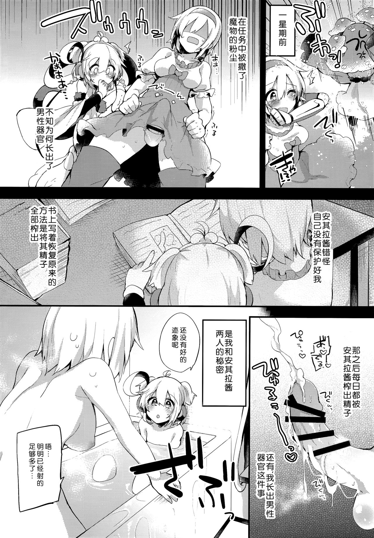 (C92) [Ririo Gatto (Kaenuco)] Bokura no Himegoto (Granblue Fantasy) [Chinese] [靴下汉化组] page 3 full