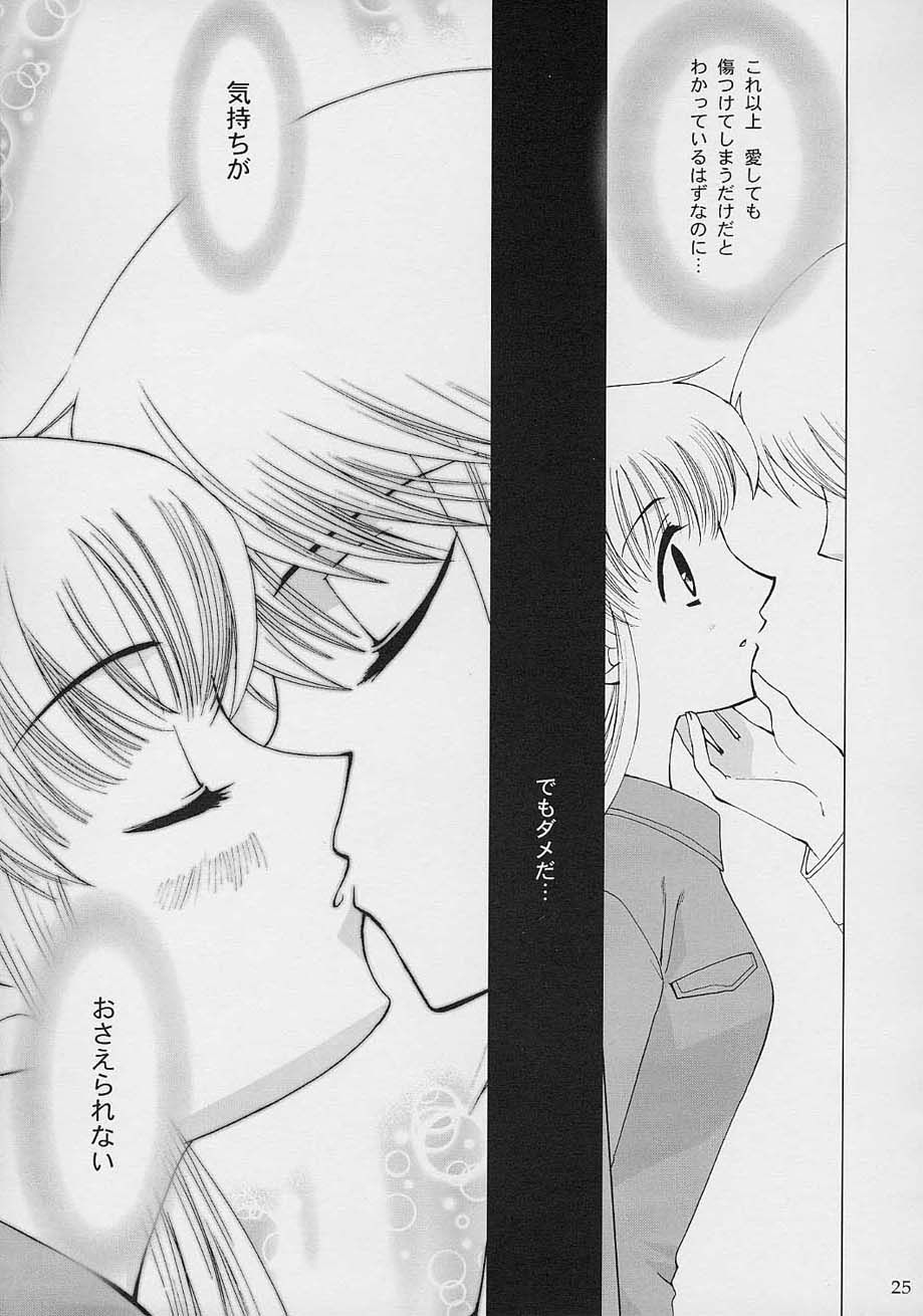 [Crazy Clover Club] - 02 - Subetewo You Kasu Bishou Mide (fruits basket) page 24 full