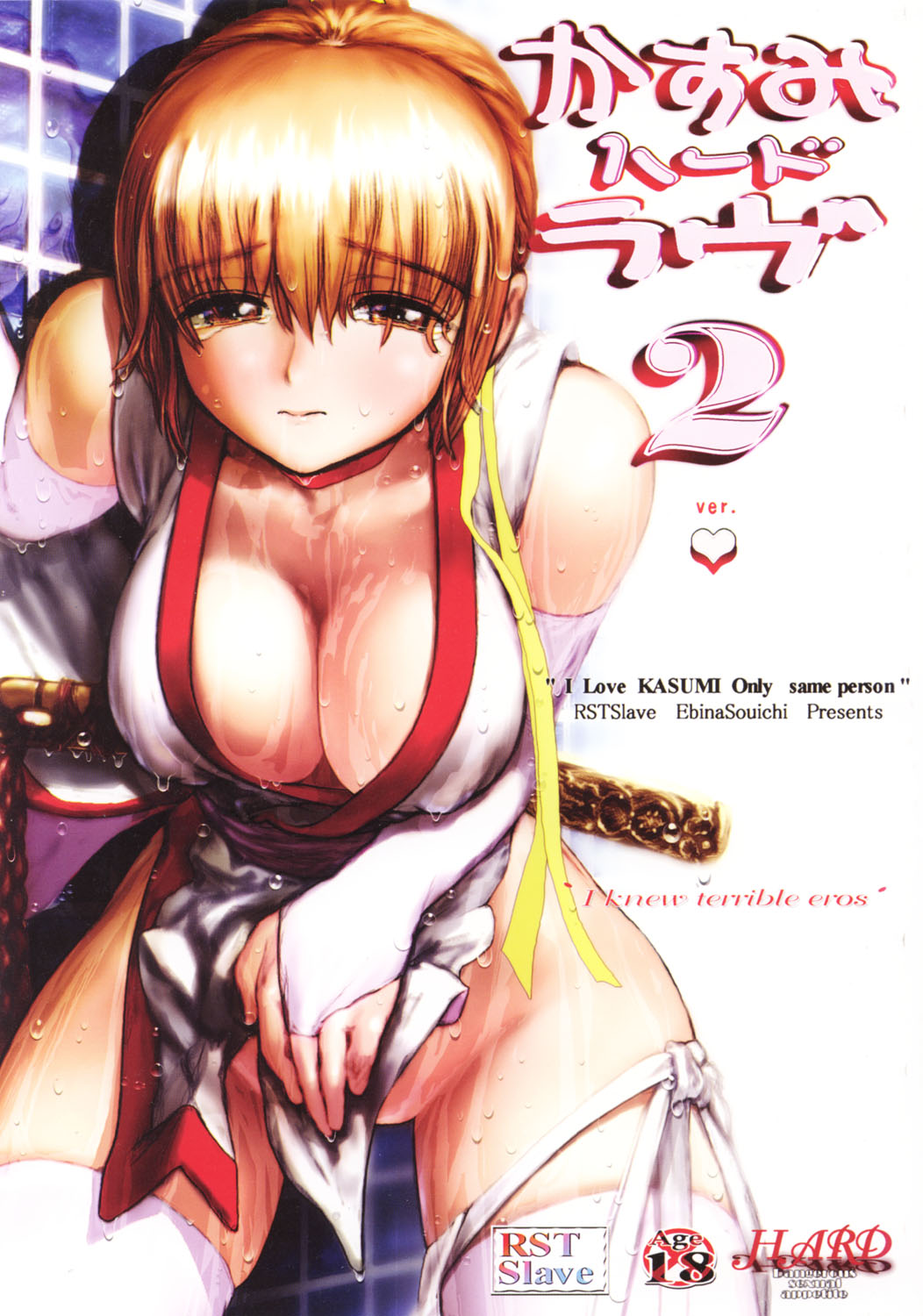 (C61) [RST Slave (Ebina Souichi)] Kasumi Hard Love 2 ver. 1 (Dead or Alive) page 1 full