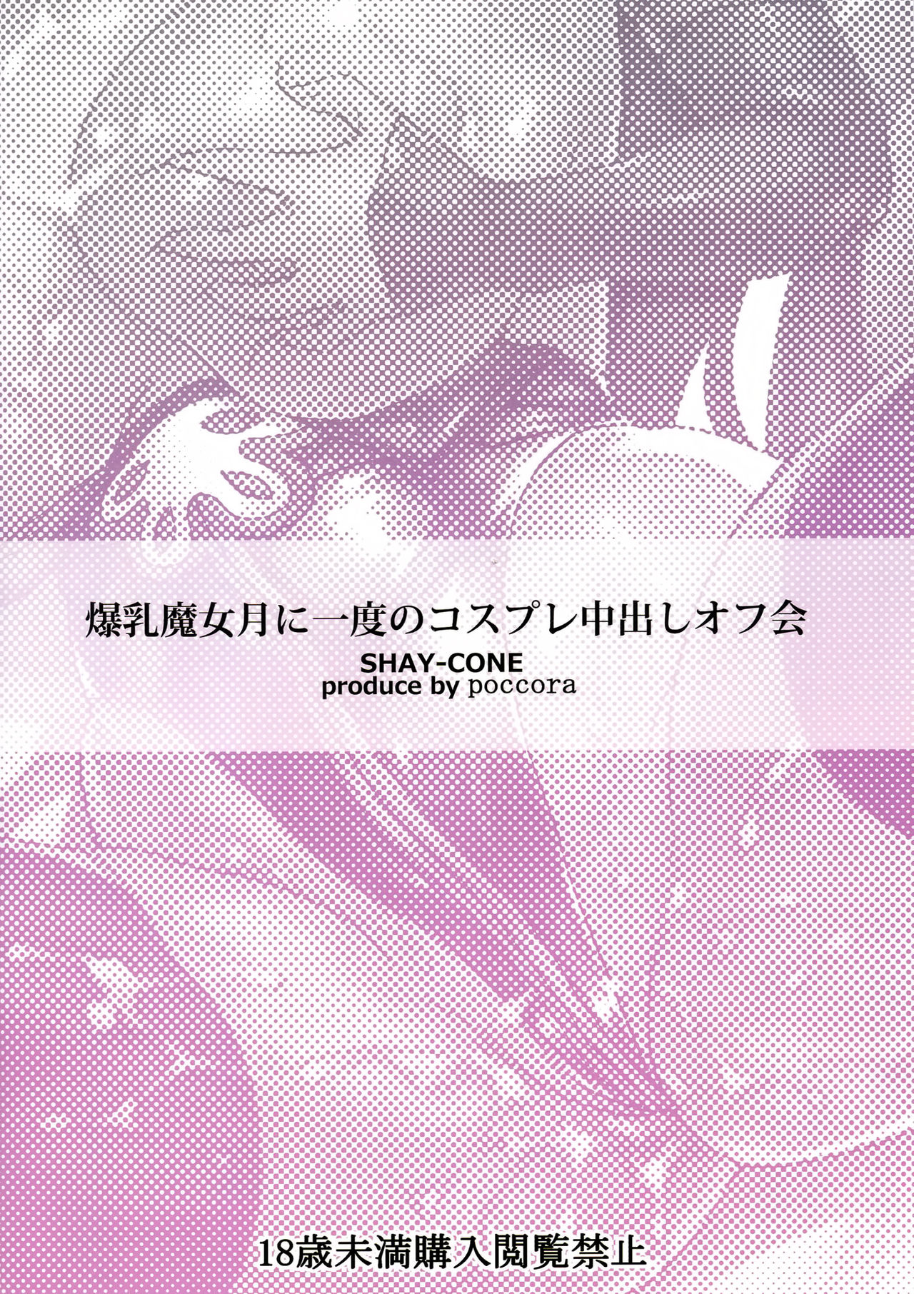 (C90) [SHAY-CONE (Poccora)] Bakunyuu Majo Tsuki ni Ichido no Cosplay Nakadashi Off-kai (Granblue Fantasy) [Chinese] [空気系☆漢化] page 31 full