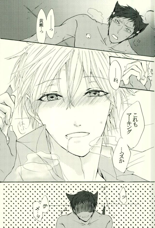 (HaruCC21) [Cutie★Complex (Hatsuka)] Neko no Kimochi 3 (Kuroko no Basuke) page 27 full