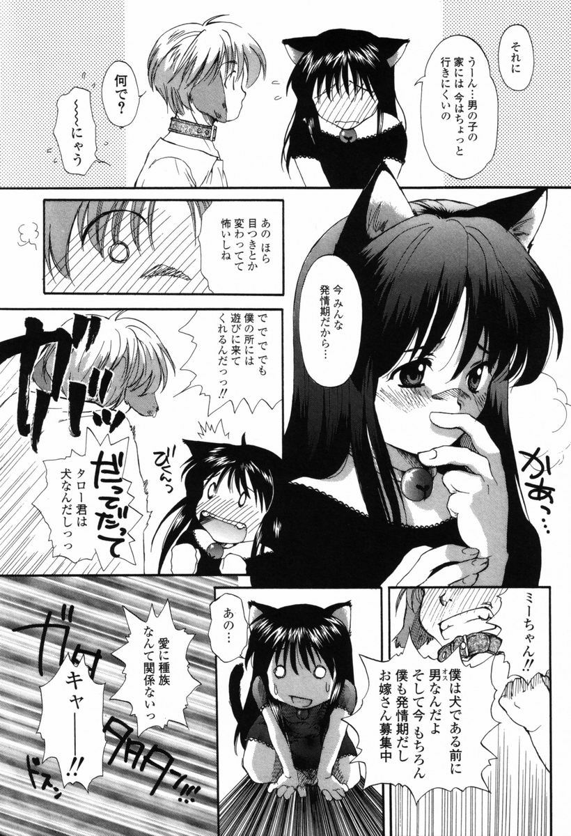 [Miyauchi Yuka] Boku no Ouchi ni Asobi ni Oide - Come on my room! page 11 full