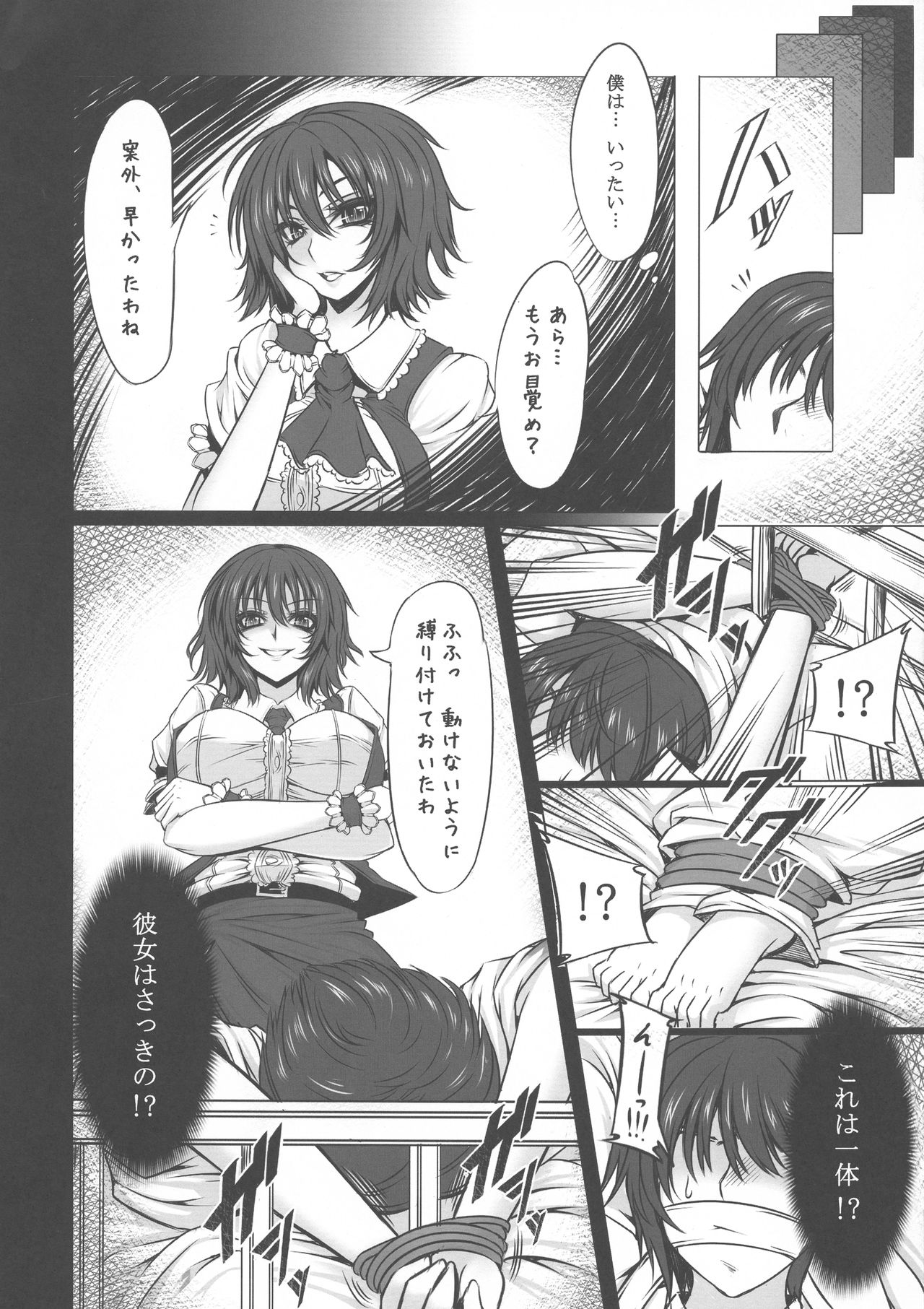 (C80) [Yume no Kyoukai (Suzuneko.)] Himawari to Gekkouka (Touhou Project) page 4 full