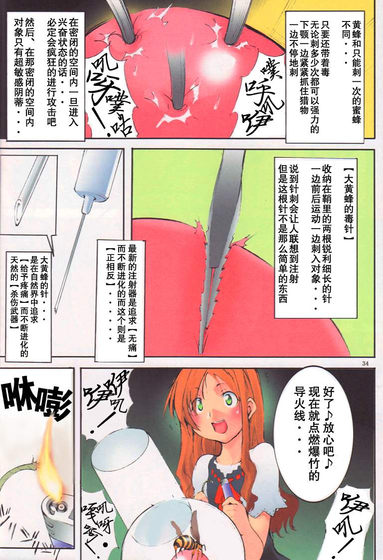 (COMITIA 90) [Algolagnia (Mikoshiro Honnin)] St.Margareta Gakuen Black File [Chinese] [巫毒汉化组] page 33 full