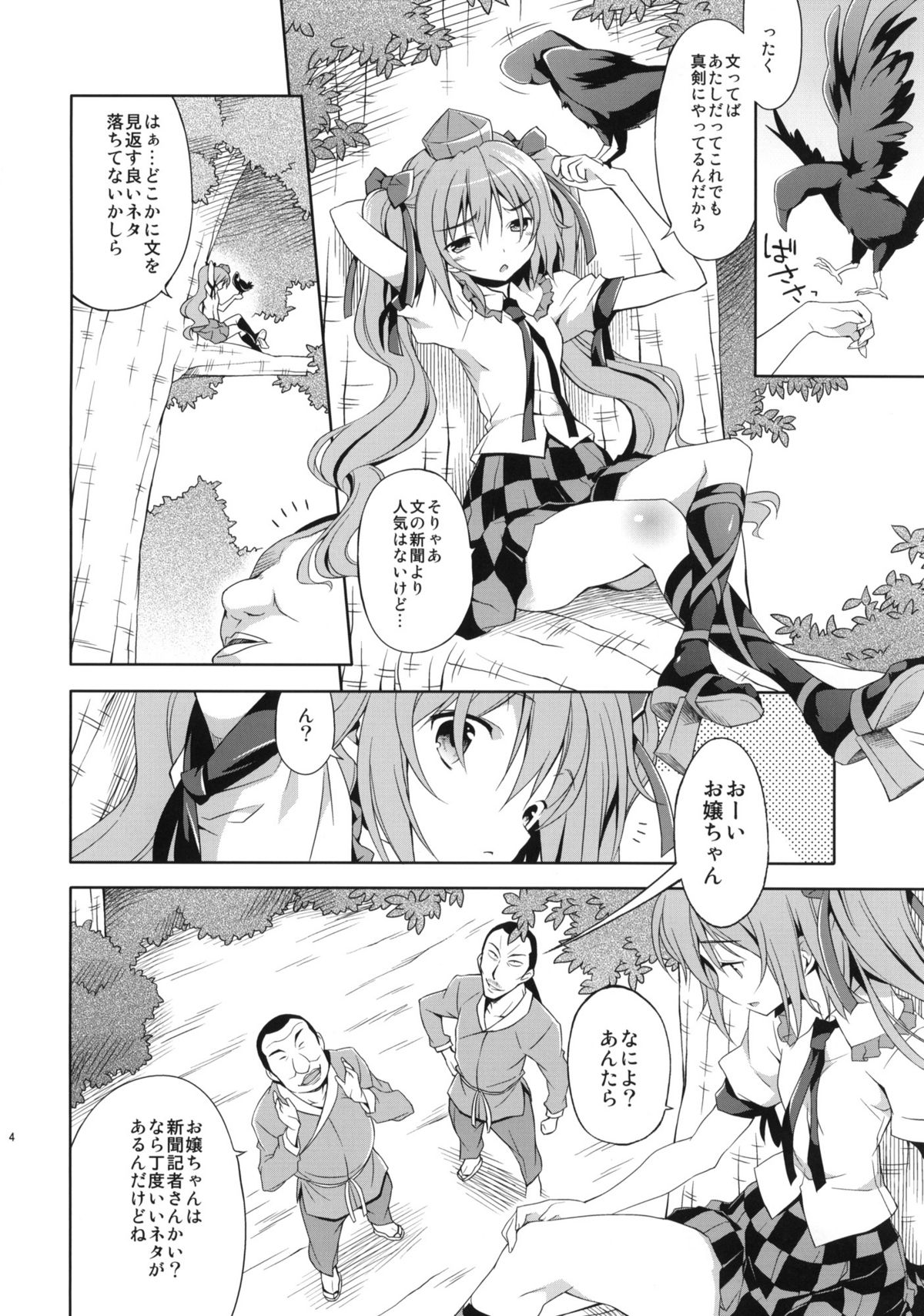 (C80) [Houenken (Inase Shinya)] Hatate no Binwan Shuzairoku (Touhou Project) page 3 full