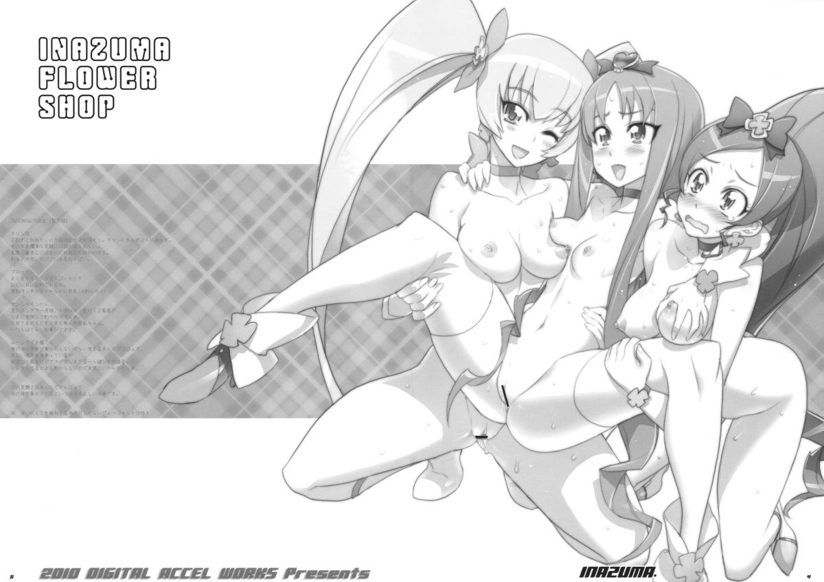 (C78) [Digital Accel Works (INAZUMA)] INAZUMA FLOWER SHOP (Heart Catch Precure) page 3 full