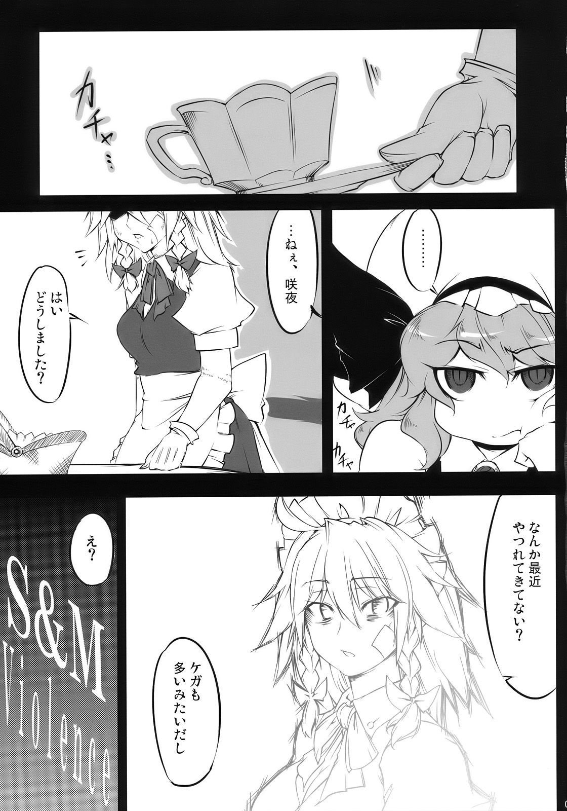 (C78) [BURUMAN (Tajima Yuki)] S&M Violence (Touhou Project) page 5 full