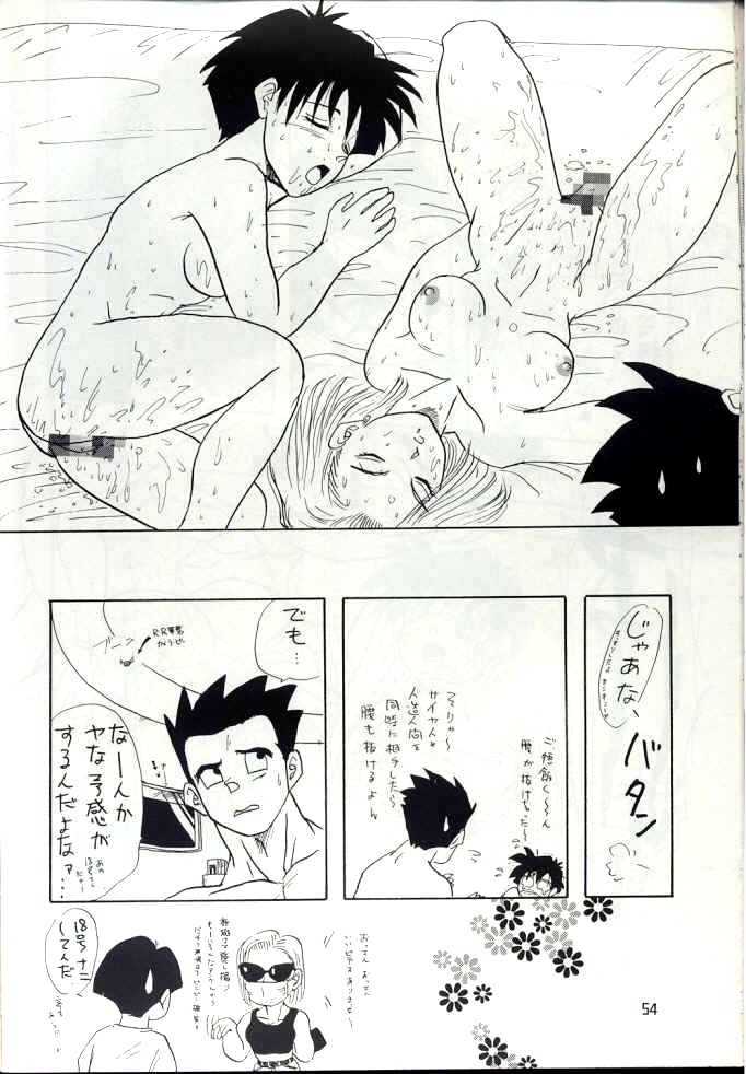 [Chirigami Goya, Fusuma go Ten (Shouji Hariko)] YYY (Dragon Ball) page 54 full