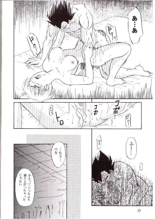 (C66) [Ryuujin-kai (HITO Ribuki)] CHEAP THRILLS (Dragon Ball Z) page 22 full