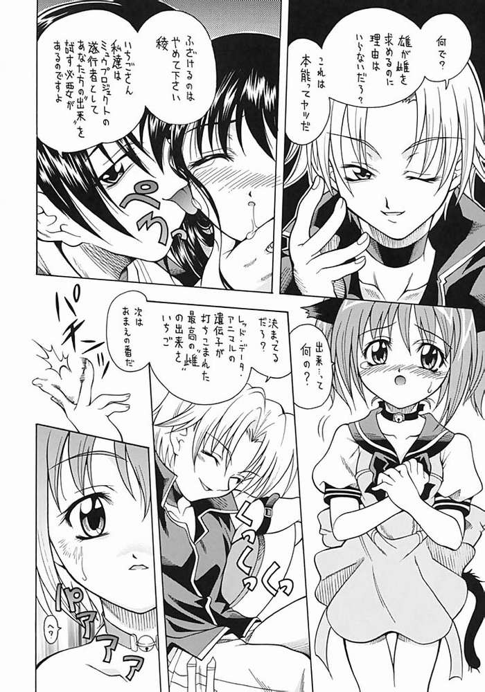 (C63) [K2 Tomo no Kai (Mizuki)] Asaban Festa (Ojamajo Doremi, Tokyo Mew Mew) page 27 full