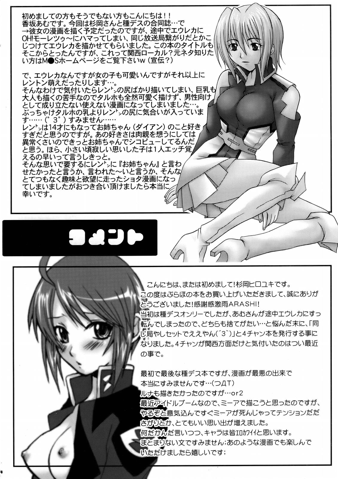 (C69) [Bloody Hawk (Various)] Lie4channel (GUNDAM SEED DESTINY, Eureka Seven) page 14 full