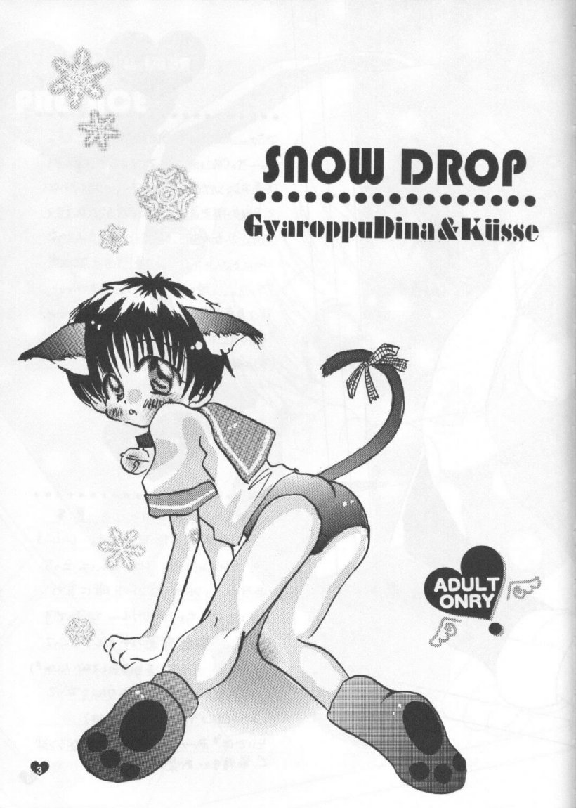 (C55) [Gyaroppu Daina, Kusse (Narita Rumi, Senami Rio)] SNOW DROP (Neon Genesis Evangelion) page 2 full