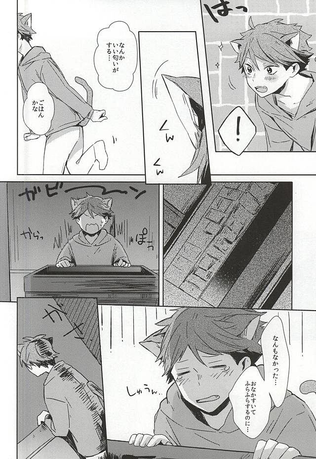 (RTS!!5) [Shounen-H (Yuuki)] Neko ni Natta Oikawa-san (Haikyuu!!) page 7 full