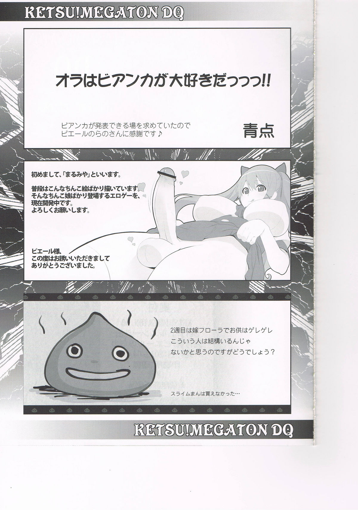 (COMIC1☆6) [Toluene Ittokan (Pierre Norano)] KETSU!MEGATON DQ (Dragon Quest V) page 24 full