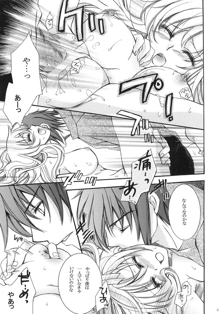 (C70) [LOVE ME DO (Imidas Nakamura, Satou Chiezou)] When You Wish Upon A Star (Kidou Senshi Gundam SEED) page 22 full