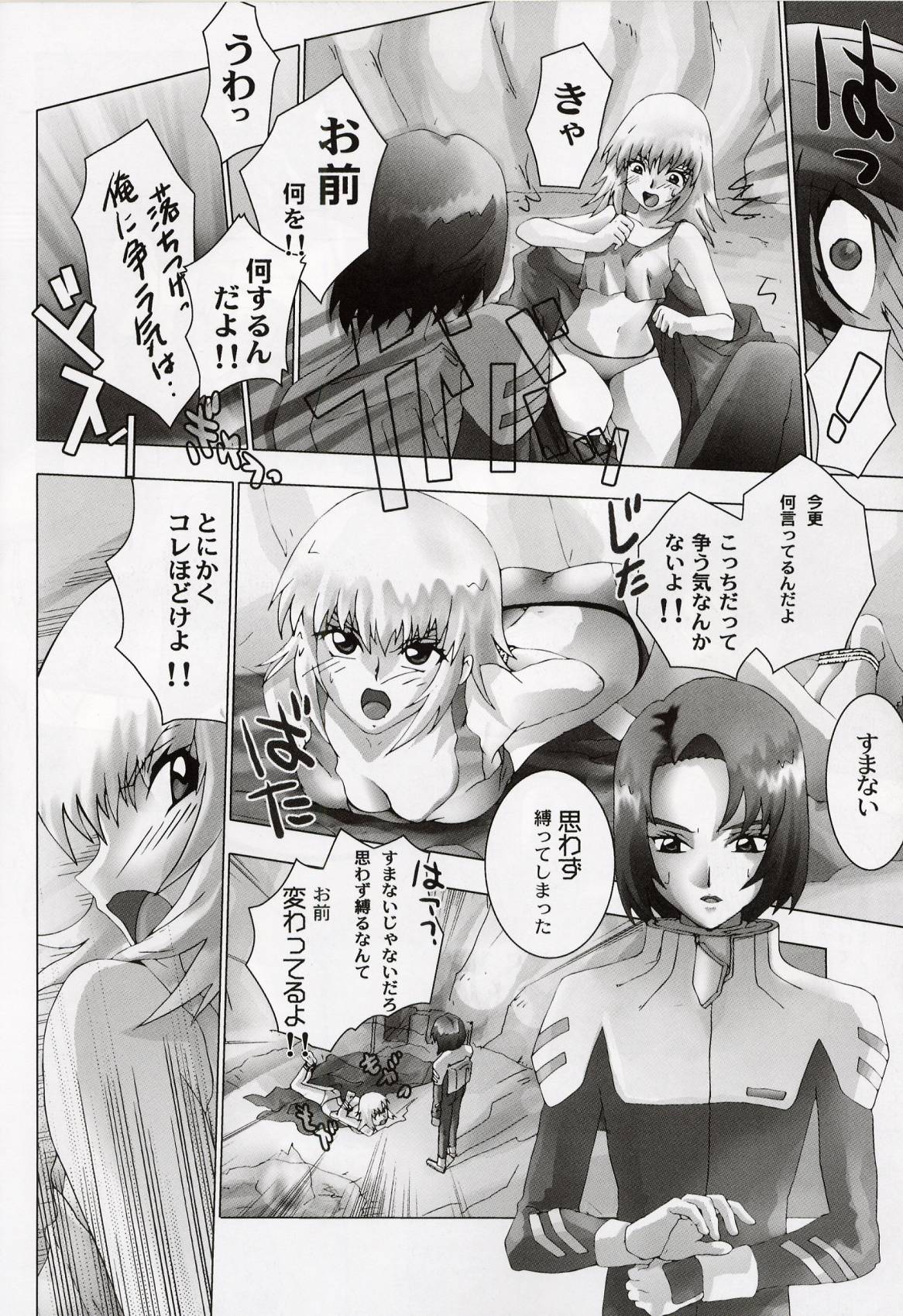 (C64) [Toluene Ittokan (Pierre Norano, Shinagawa Ham)] Ketsu Megaton Seed (Gundam Seed) page 7 full