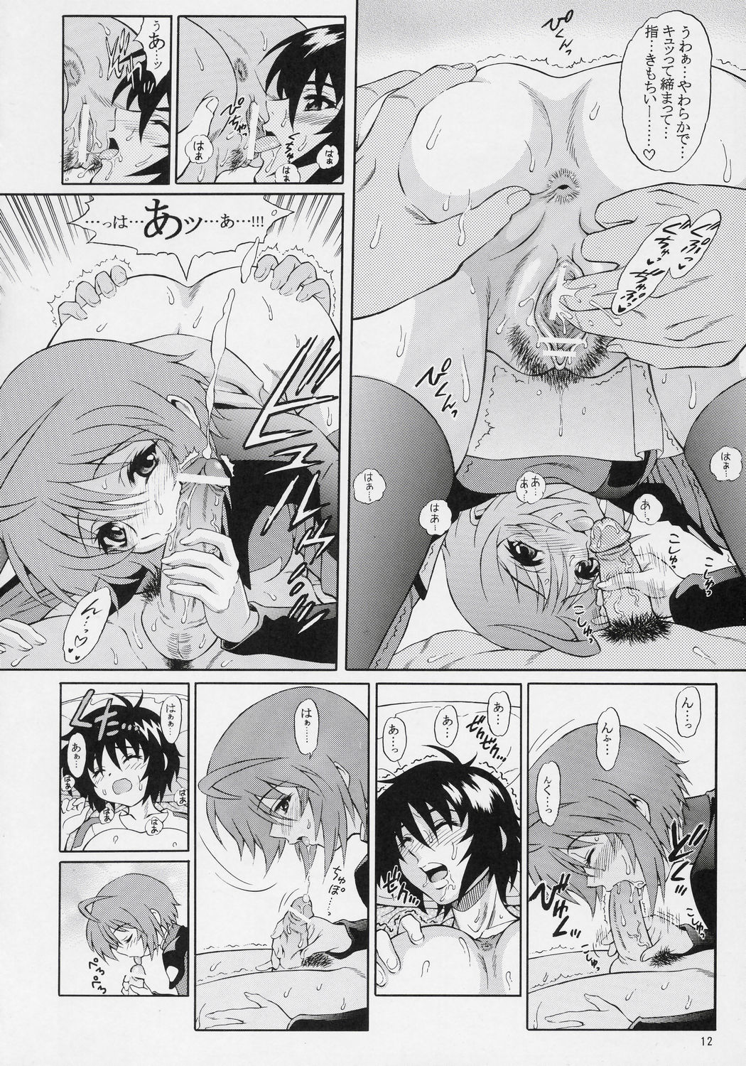 (C70) [GUST (Harukaze Soyogu)] Burning!! 3 (Kidou Senshi Gundam SEED DESTINY [Mobile Suit Gundam SEED DESTINY]) page 11 full