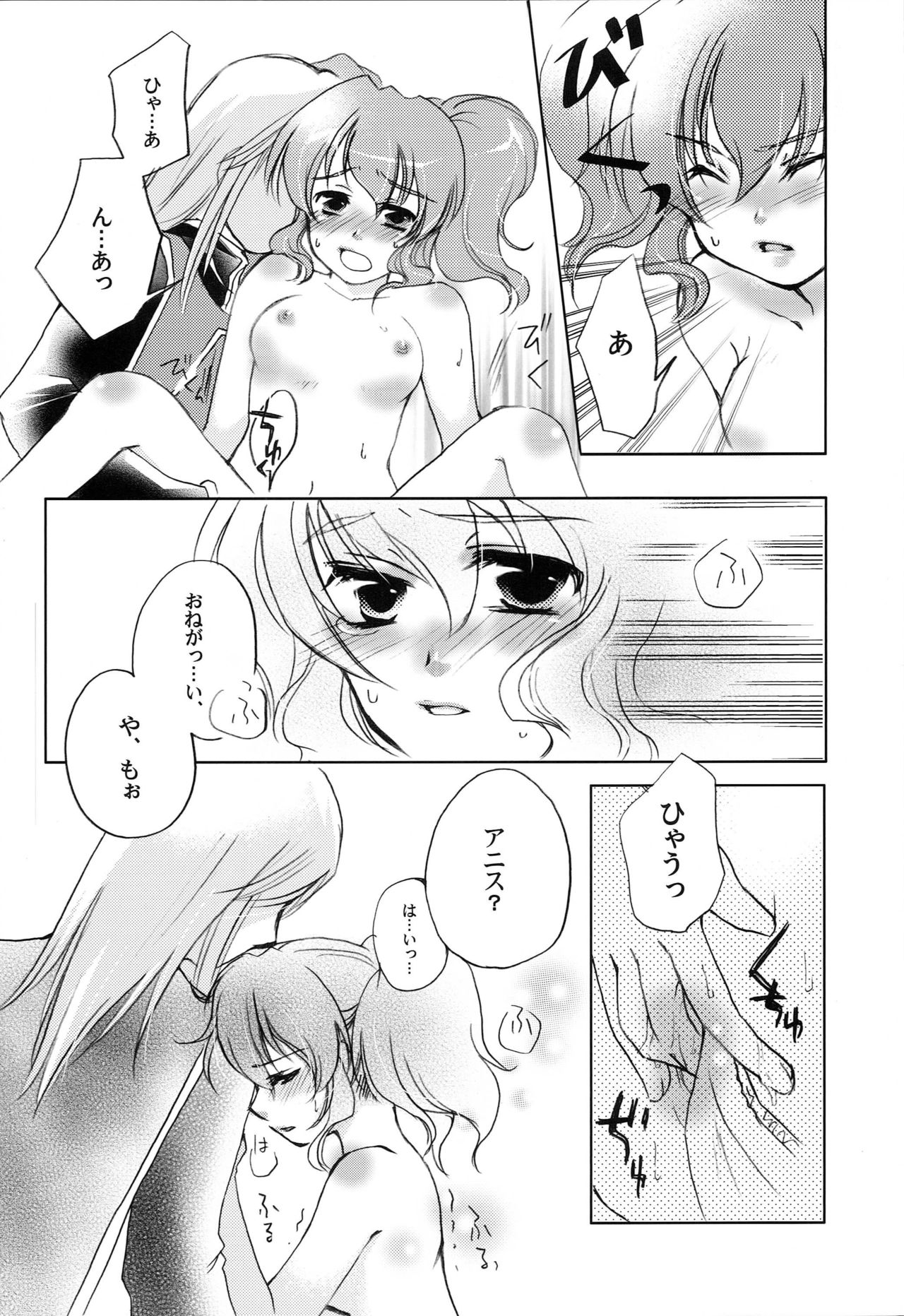 [Y.B.J (Ichitaro)] Carnation, Lily, Lily, Rose (Tales of the Abyss) page 11 full