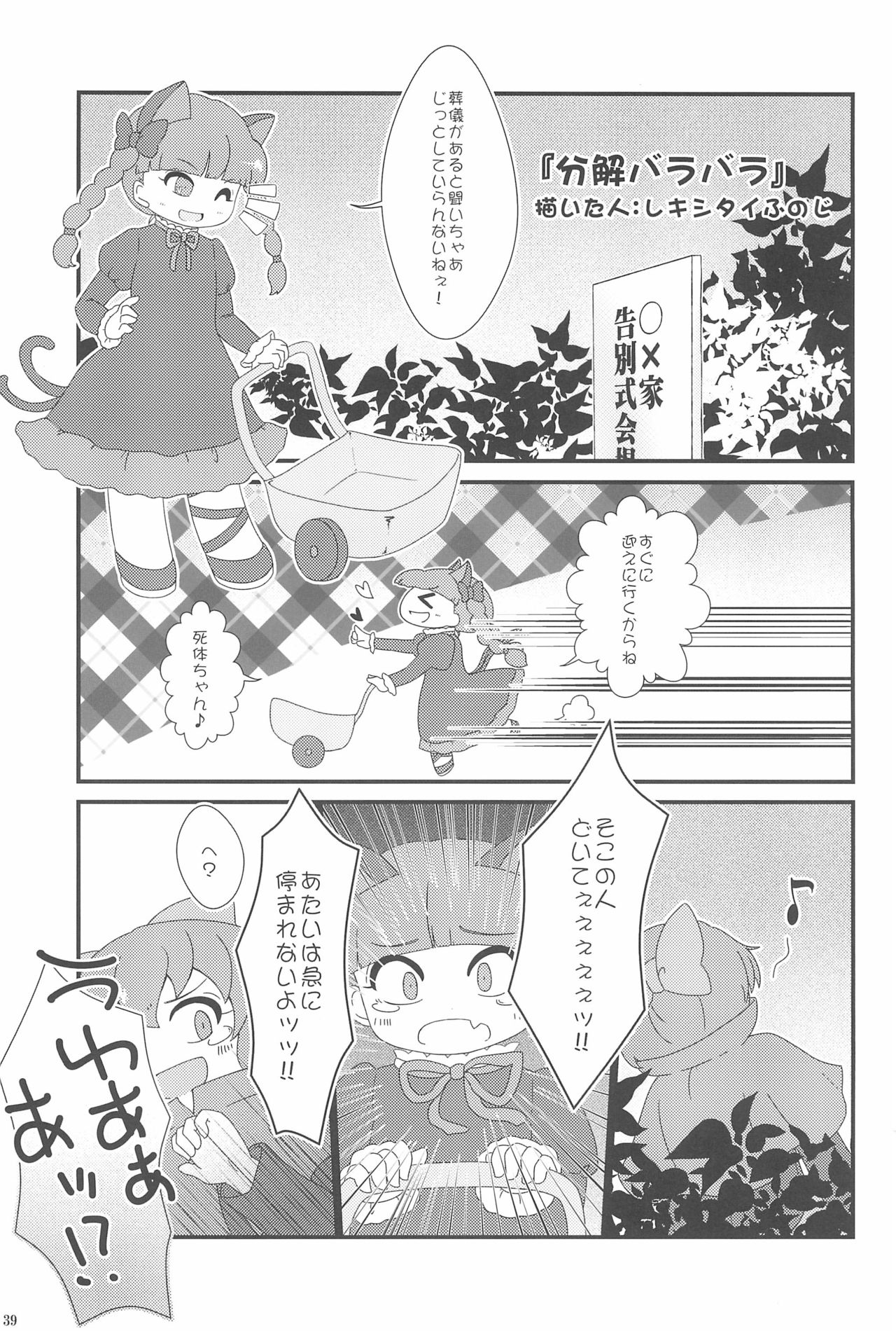 (Ryonaket 3) [Haka no Shita ni iru (Various)] Touhou Roadkill Joint Publication (Touhou Project) page 39 full