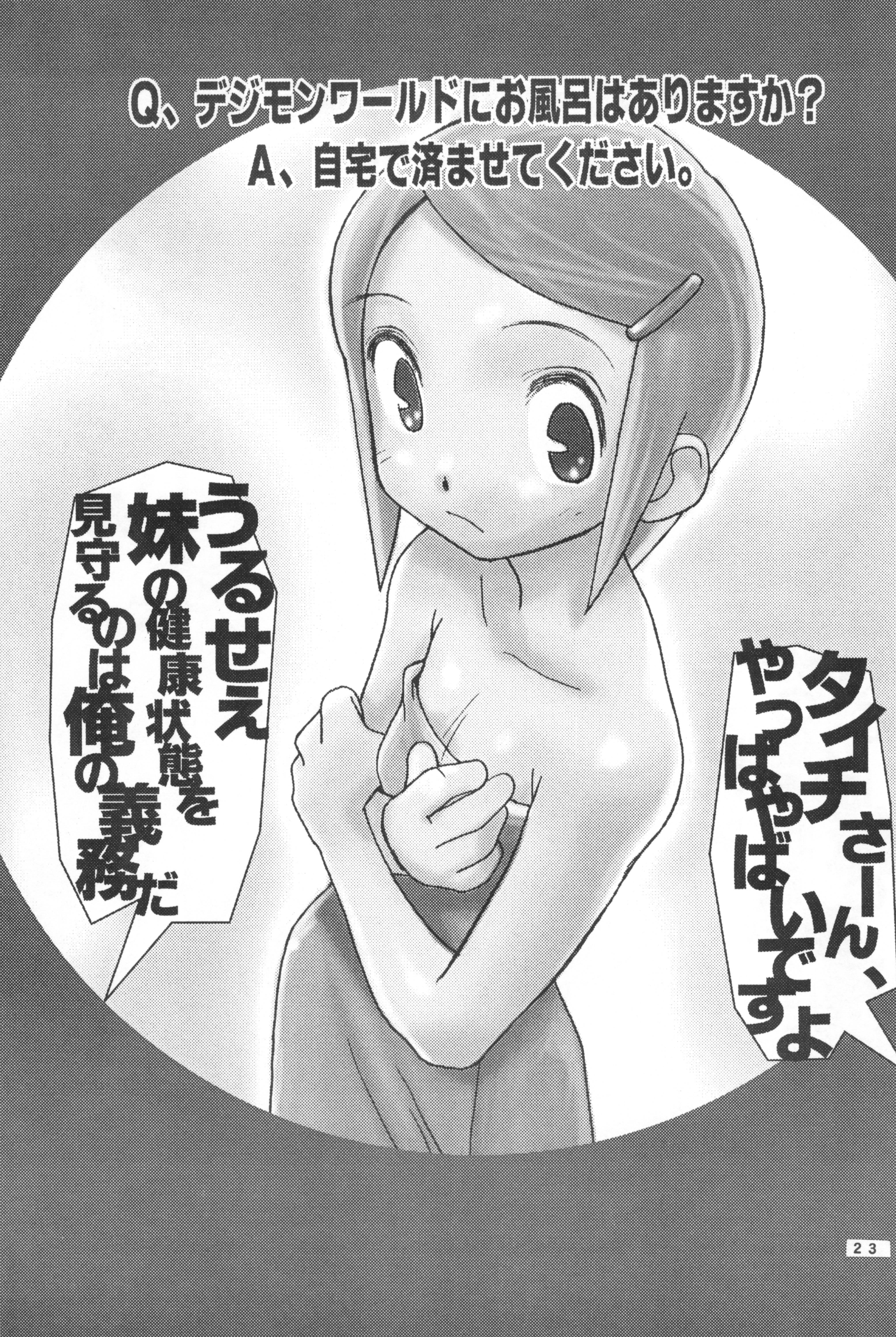 (C58) [Hitosuji Nawa (Ryo Kumagaya)] Hikarin (Digimon) page 23 full