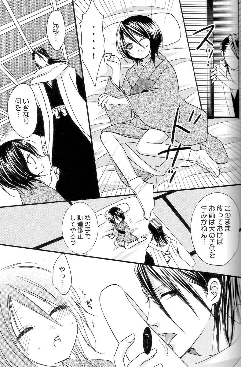 (C70) [DewDrop (Sakurai Kouki, Hattori Mitsuka, Irodori Usui)] Bindume Satougashi (Bleach) page 28 full