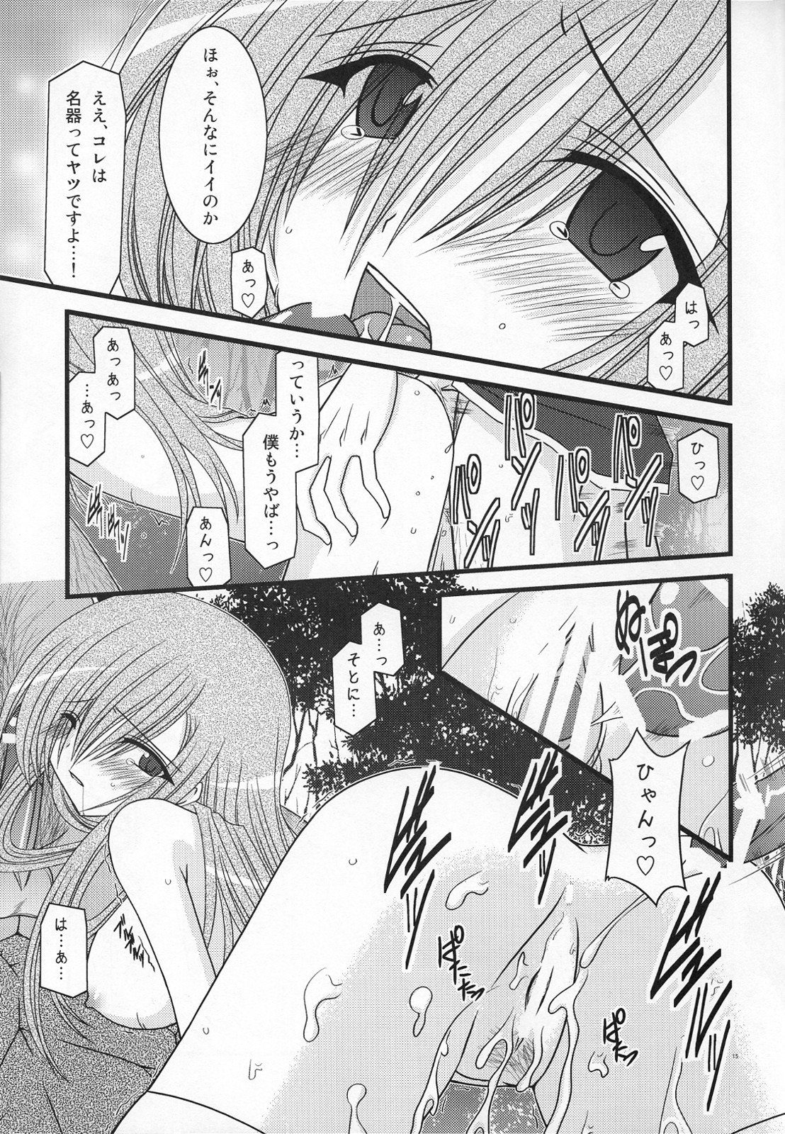 (C73) [valssu (Charu)] MELON ni Kubittake! III (Tales of the Abyss) page 14 full