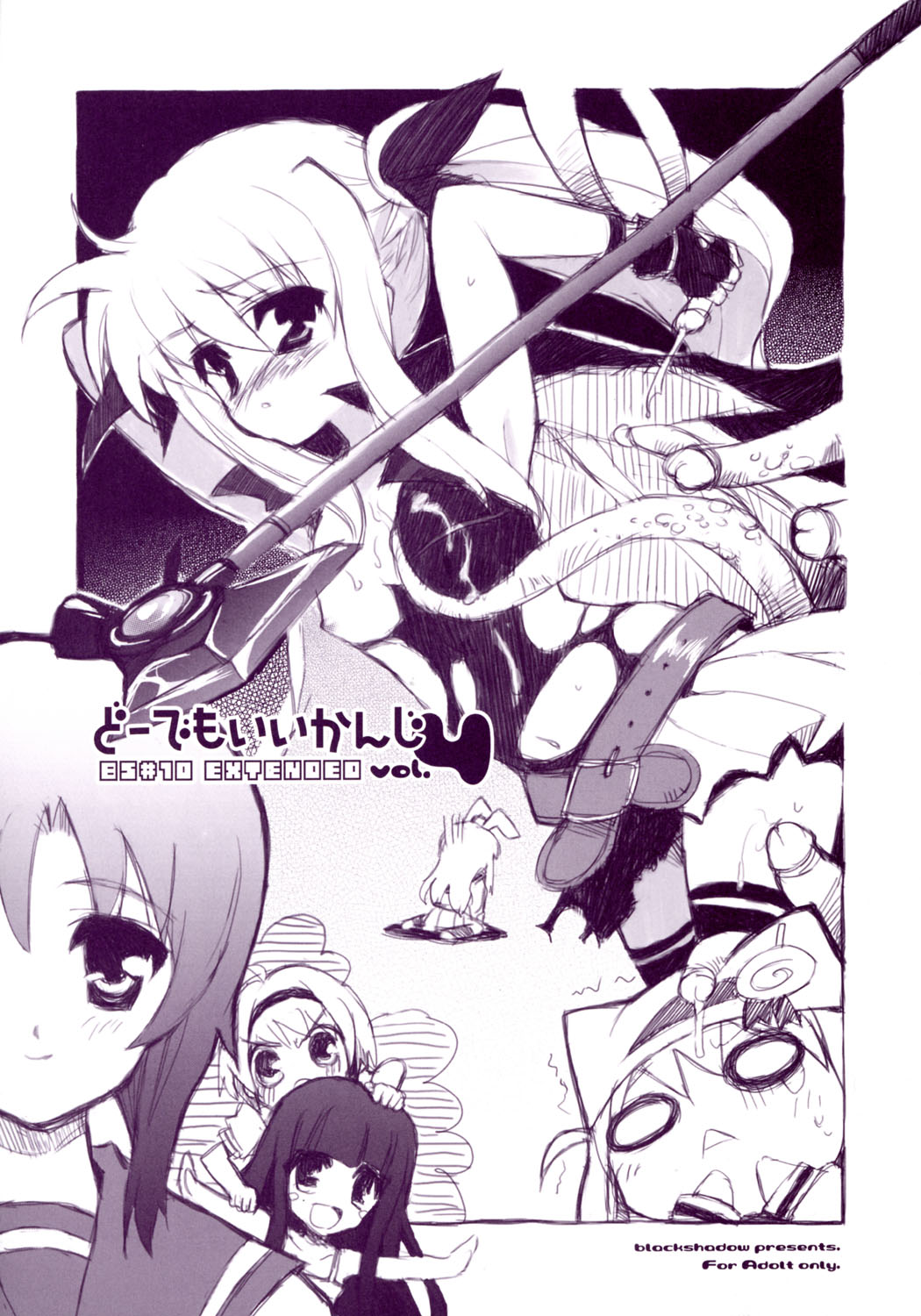 (C70) [Black Shadow (Sacchi)] BS#10 EXTENDED Do demo ii kanji vol.4 (Mahou Shoujo Lyrical Nanoha) page 1 full