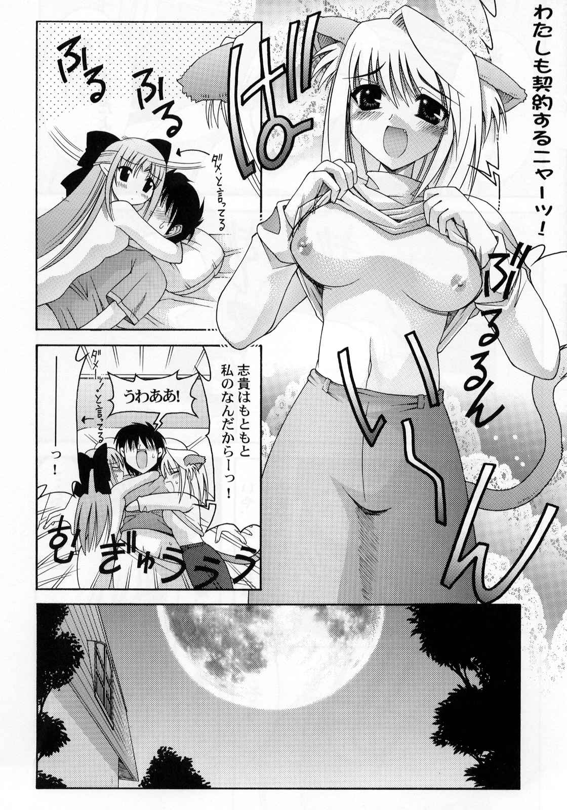 (CR30) [Abarenbow Tengu (Daitengu Iori & Izumi Yuujiro)] Abaretsukiyo (Tsukihime) page 18 full