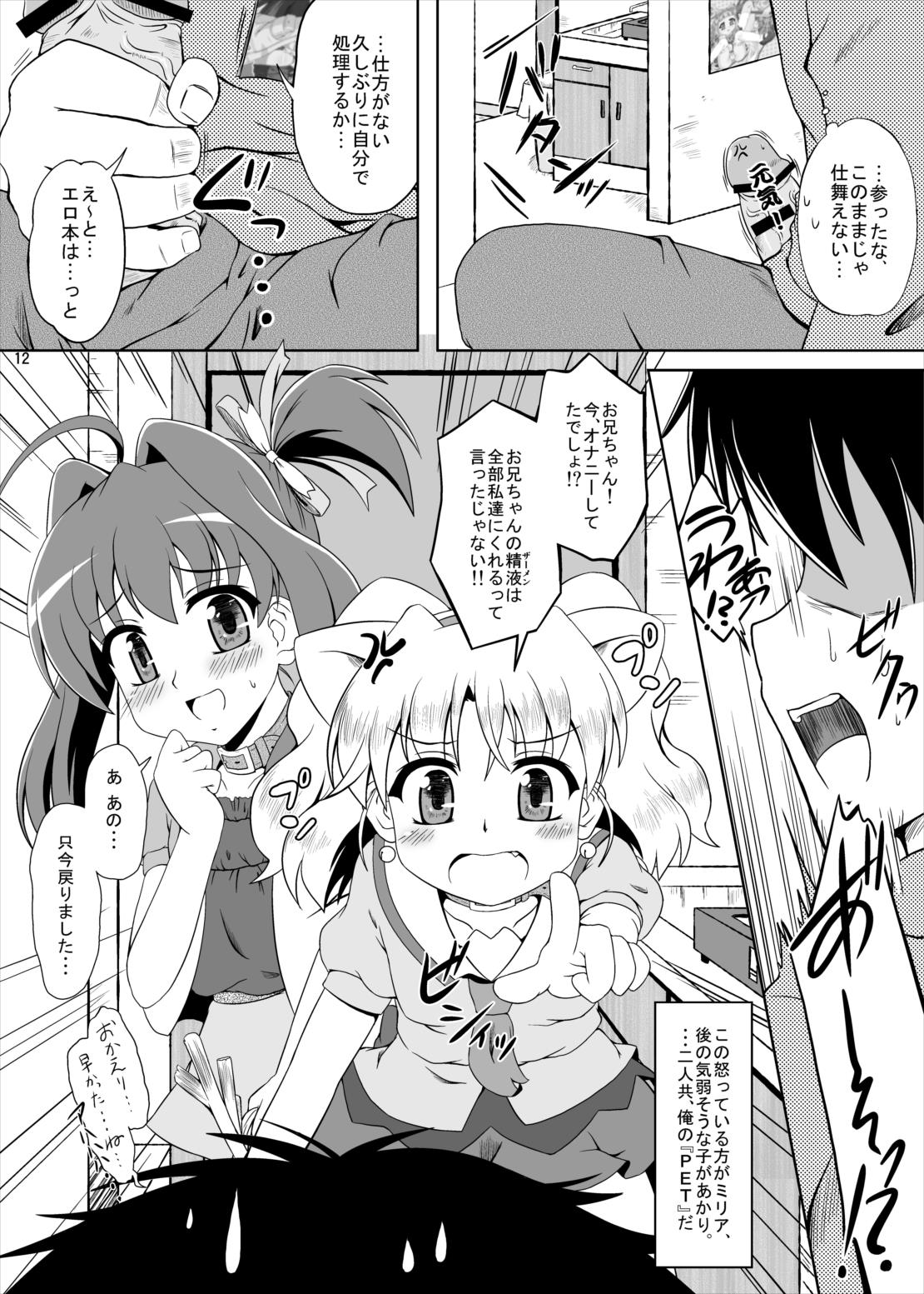 (C79) [Kamepotel (Izuki Jirou)] Freeter, Pet o kau!? (Jewelpet Twinkle) page 11 full