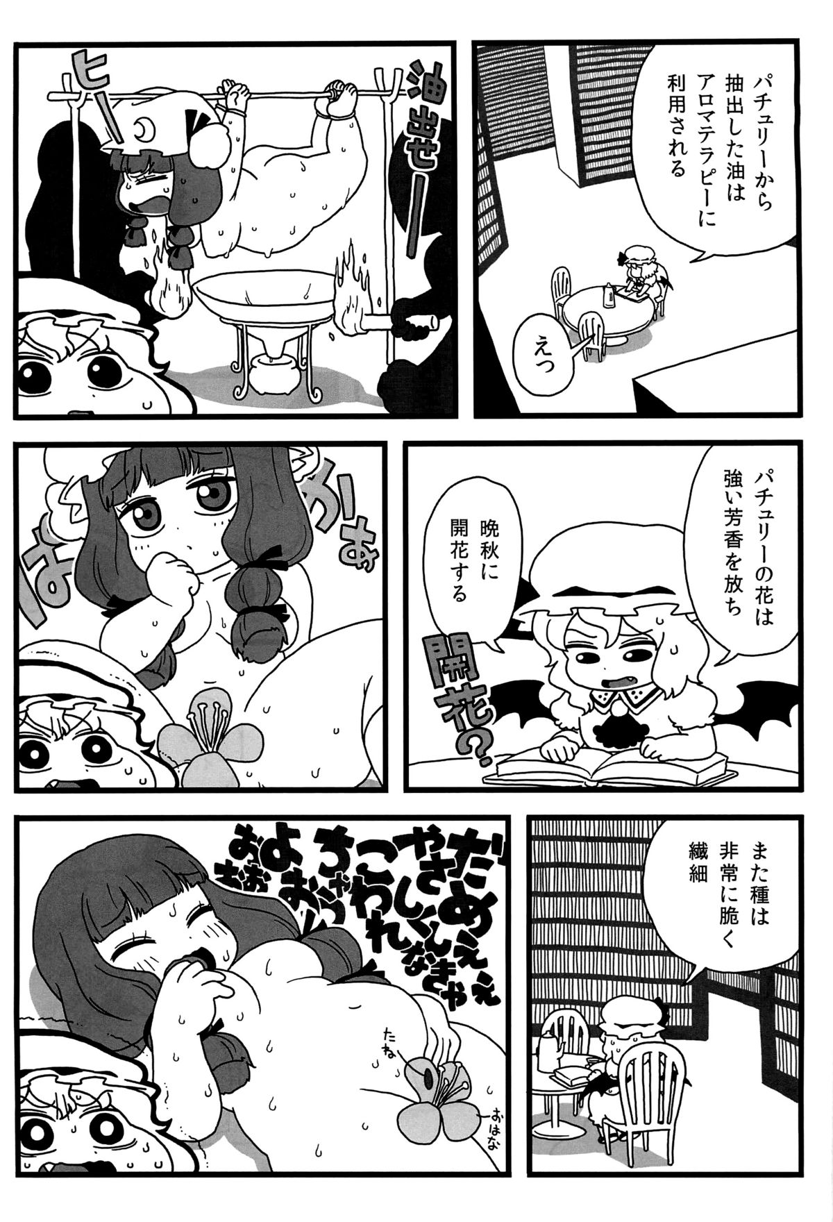 (Aka no Hiroba 8) [Surudoiman no Irutokoro (Norihito)] Patchouli ga Ippai (Touhou Project) page 10 full