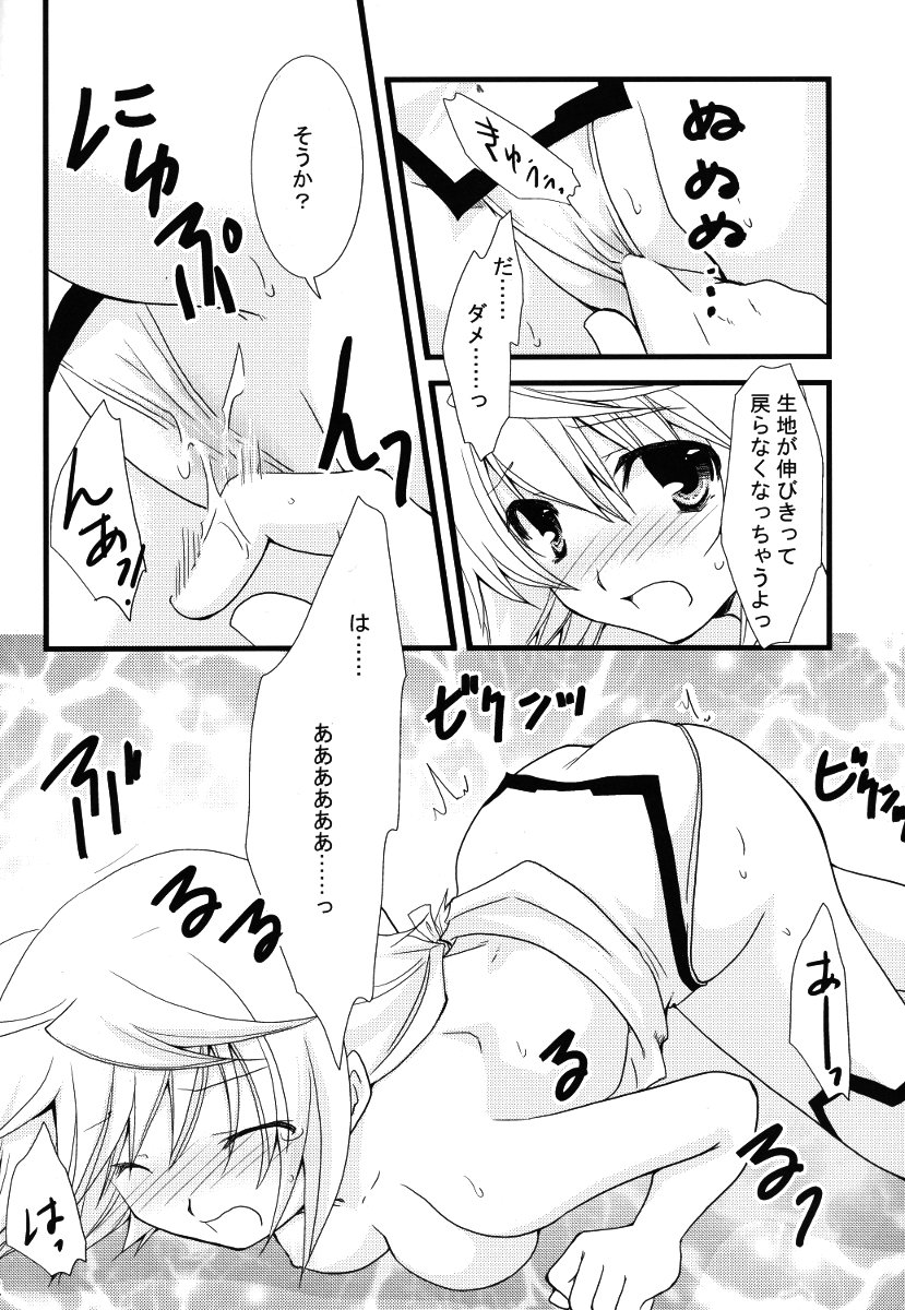(C79) [CHAGASHI SAIBAN (Yamabuki Mook)] Kigae Chuuihou! (Infinite Stratos) page 22 full