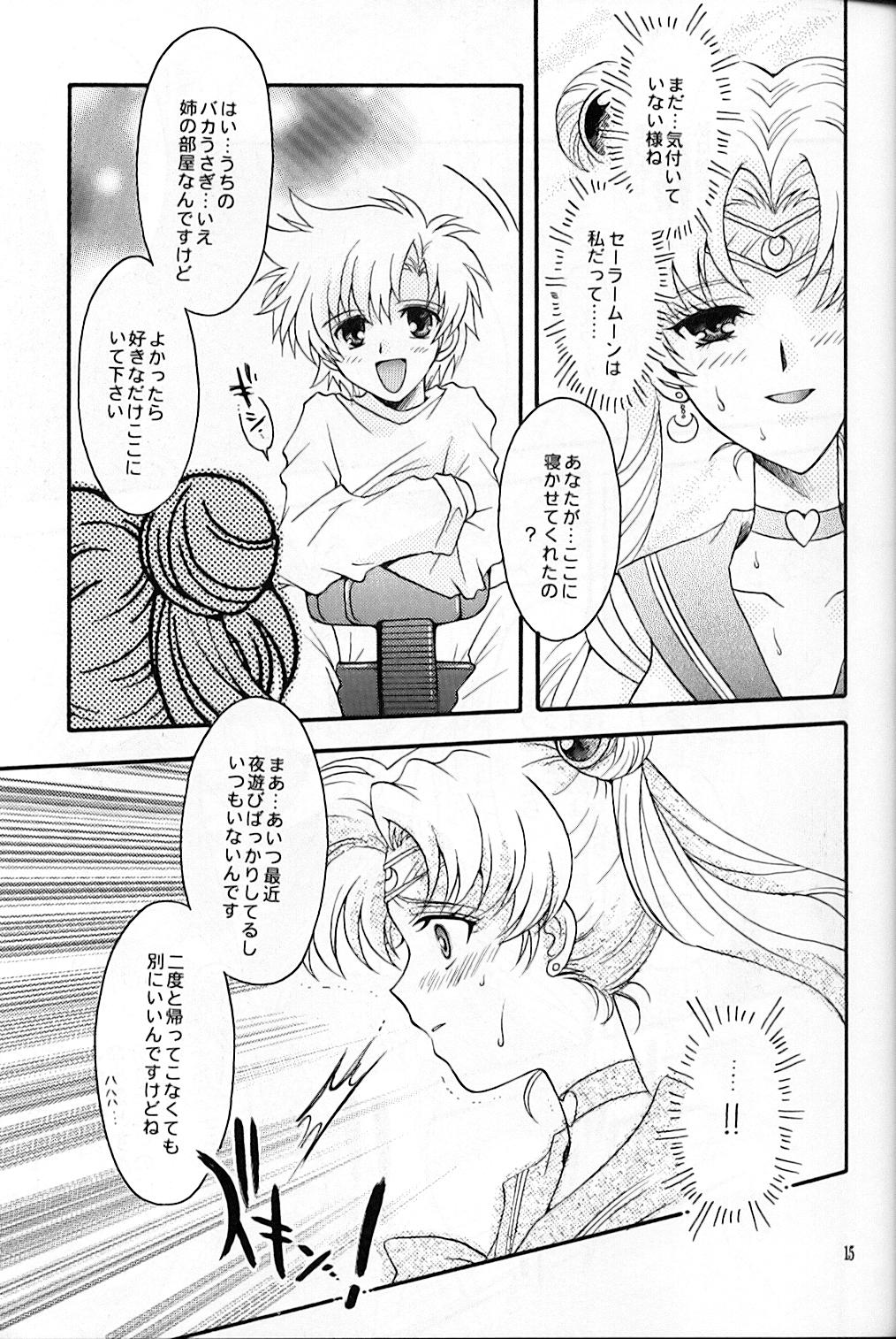 (C67) [Kotori Jimusho (Sakura Bunchou)] chanson de I'adieu (Sailor Moon) page 16 full