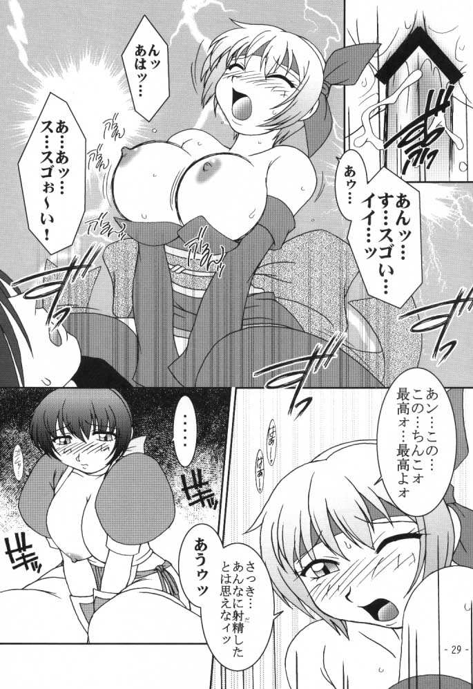 (C59) [KENIX (Ninnin!)] Hanagasumi (Dead or Alive) page 28 full